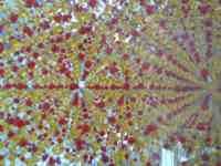 Arrays of red and yellow balls