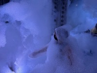 Massless Clouds Between Sculpture and Life at Superblue Miami