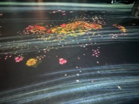 Proliferating Immense Life - A Whole Year per Year at Superblue Miami