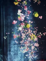 Proliferating Immense Life - A Whole Year per Year at Superblue Miami