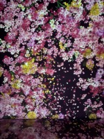 Proliferating Immense Life - A Whole Year per Year at Superblue Miami