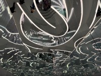 Forest of Us at Superblue Miami