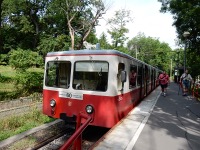 Cogwheel railway