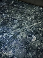 In the Embrace of Impressionism at Ljubljana Castle