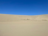 Tottori Sand Dunes